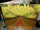 SAVOY BROWN Raw Sienna LP 1970 STEREO 1ST Press SUPERB
