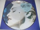 madonna true blue japanesse picture disc