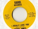 bobby james - i really love you - karol 3727 - soul 45