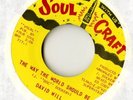 david will - way the world should be - soul craft 45