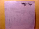 WILL & JAMES RAGAR - '80 private folk soft psych LP- NM