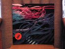 HAIRY CHAPTER CAN`T GET THRU UNPLAYED GATEFOLD IMPORT