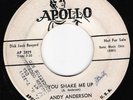 ANDY ANDERSON You Shake Me Up ROCKABILLY 45 DJ COPY