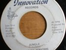 YOUNG SENATORS Jungle funk 45 INNOVATION hear