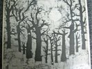 CRUCIBLE 2 PRIVATE Rural Rock LP Hoi Polloi Folk PSYCH