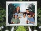 NOFX - HOFX    SEALED orig Fat Wreck rec.