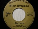 Blind Ambition 