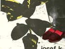 JOSEF K.  