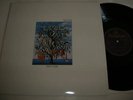 TALK TALK - SPIRIT OF EDEN