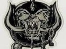 Motorhead*Killed By Death*NM Picture 7