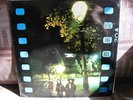 LITTLE FREE ROCK:  same  TRA Original Prog MINT UK