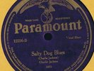 Paramount 12236 Charlie Jackson SALTY DOG BLUES Banjo