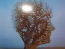 Pink Floyd LP - Brave New World