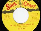 DAVID WILL - THE WAY WORLD SHOULD BE - SOUL CRAFT 45
