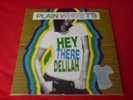 PLAIN WHITE T'S: Hey There Delilah RARE WHITE 7