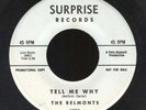 THE BELMONTS-45-DOO WOP-TELL ME WHY-SURPRISE 1000/PROMO