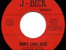 LISTEN-Rare Garage 45- Zakary Thaks-Won't Come Back- M-