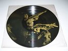 ROLLING STONES picture disc LP nude cv MINT