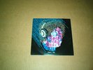 pearl jam fan club 45 rpm love reign o'er me
