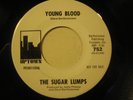 SUGAR LUMPS 45 Young Blood/Last Train To NOLA rare HEAR