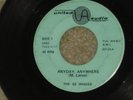 RARE 45 record Ohio Garage United Audio THE ES SHADES