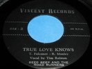 BEEP BEEP & ROAD RUNNERS Rare Garage 45 Vincent Listen