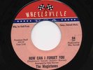 NORTHERN SOUL Magictones  Forget You WHEELSVILLE LISTEN