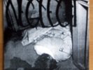 NEGLECT-7