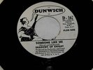 SHADOWS OF KNIGHT SOMEONE LIKE ME PROMO   45 RPM