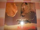 Marillion Live Bootleg