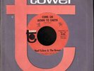 NOEL ODOM & THE GROUP 'Down To Earth' Fuzz 45 LISTEN
