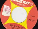 NORTHERN SOUL 45 RPM - THE TYMES on PARKWAY RECORDS
