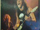 Metallica - Weed Killer And Sugar double LP