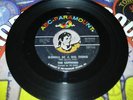 Northern Soul The Sapphires - Gonna Be A Big Thing