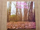 TWINK Think Pink LP Amazing Psych acid-folk