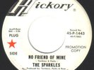 1967 GARAGE ROCK PROMO 45-THE SPARKLES on HICKORY  MINT