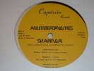 ANUMBEROFNAMES Sharevari SEALED A Number of Names 12