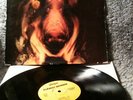 FLÄSKET BRINNER very rare swedish progressive rock 1971