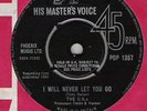 THE U.K.s - I WILL NEVER LET YOU GO - HMV 45 1964