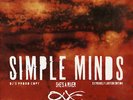 SIMPLE MINDS She's a river French 12