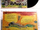 Outnumbered By Sheep 1986 Flying Nun Auckland BFM LP