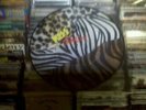 KISS - Animalize Dutch Picture Disc Numbered edition