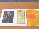 Suzi Quatro-