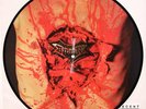Dismember -Indecent & obscene PIC-LP 1993 RARE entombed