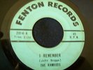 RAMRODS--I REMEMBER--FENTON 2014--60s MICHIGAN TEEN