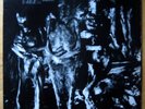 NURSE WITH WOUND INSECT AND INDIVIDUAL SILENCED LP