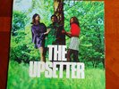The Upsetter  TTL-13A