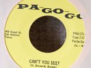 Michigan Garage 45-Count & The Colony-Can't You See