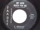 E. Williams - Trade my soul to the Devil 45 JAADEE rare