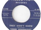 NORTHERN SOUL TERRI GOODNIGHT 